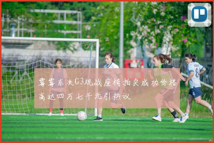 霉霉东决G3观战座椅拍卖成功价格高达四万七千元引热议