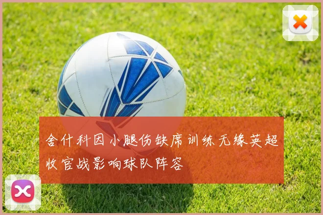 舍什科因小腿伤缺席训练无缘英超收官战影响球队阵容